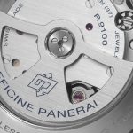 PAM00524