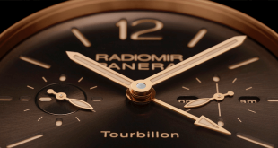 PAM558