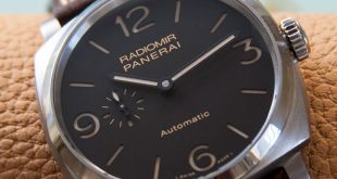 PAM619