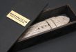 Brusnitcyn Custom Straps