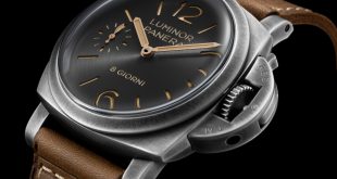 PAM01733